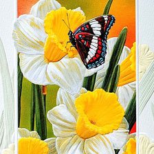 Cross stitch pattern: #641717