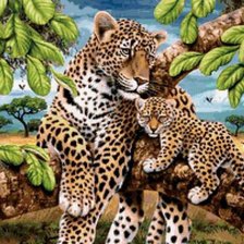 Cross stitch pattern: #641719