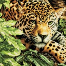 Cross stitch pattern: #641722