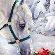 Cross stitch pattern: #642071