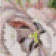 Preview of cross stitch pattern: #642081