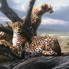 Cross stitch pattern: #642162