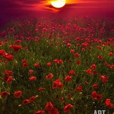 Cross stitch pattern: #642503