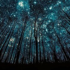 Cross stitch pattern: #642504