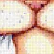 Preview of cross stitch pattern: #643432