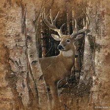 Cross stitch pattern: #643549