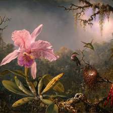 Cross stitch pattern: #644065
