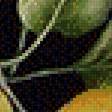 Preview of cross stitch pattern: #644068