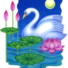 Cross stitch pattern: #644227