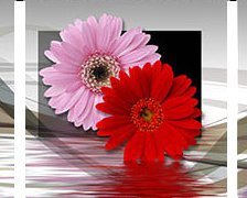 Cross stitch pattern: #645074