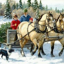 Cross stitch pattern: #645162