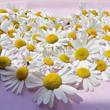 Cross stitch pattern: #645211