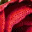 Preview of cross stitch pattern: #645215