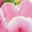 Preview of cross stitch pattern: #645281