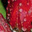 Preview of cross stitch pattern: #645293