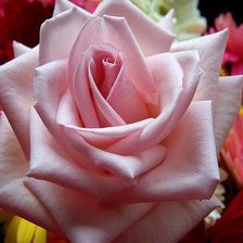 Cross stitch pattern: #645301