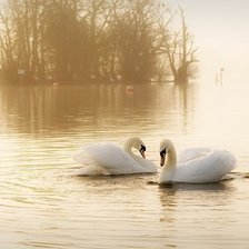 Cross stitch pattern: #645312