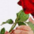 Preview of cross stitch pattern: #645913