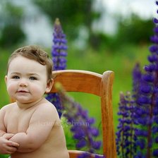 Cross stitch pattern: #645924