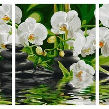 Cross stitch pattern: #646036