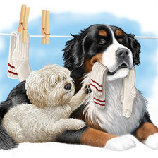 Cross stitch pattern: #646157