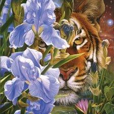Cross stitch pattern: #646295