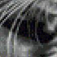 Preview of cross stitch pattern: #646319