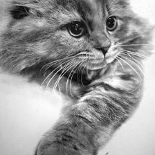 Cross stitch pattern: #646319
