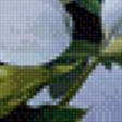 Preview of cross stitch pattern: #646344