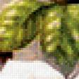 Preview of cross stitch pattern: #646630