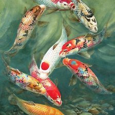 Cross stitch pattern: #646928