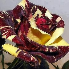 Cross stitch pattern: #647502