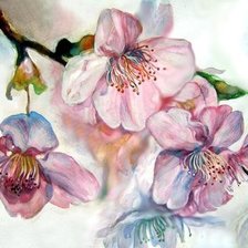 Cross stitch pattern: #647792