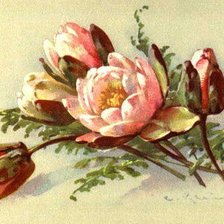 Cross stitch pattern: #647794