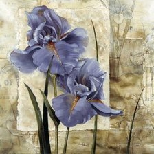 Cross stitch pattern: #648491