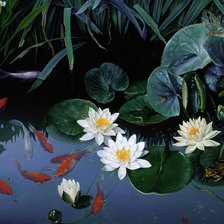 Cross stitch pattern: #648501