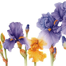 Cross stitch pattern: #649708