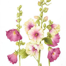 Cross stitch pattern: #649709