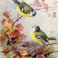 Cross stitch pattern: #650086