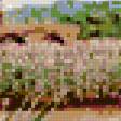 Preview of cross stitch pattern: #650144