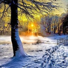 Cross stitch pattern: #651104