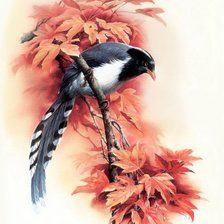 Cross stitch pattern: #652503