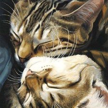 Cross stitch pattern: #652506