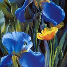 Cross stitch pattern: #652812