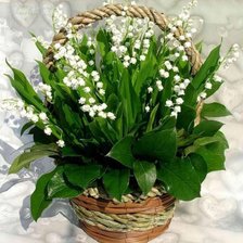 Cross stitch pattern: #652814