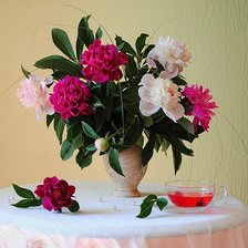 Cross stitch pattern: #652820