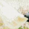 Preview of cross stitch pattern: #652834