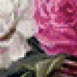 Preview of cross stitch pattern: #653314