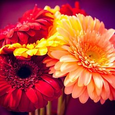 Cross stitch pattern: #653316