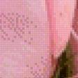 Preview of cross stitch pattern: #653321